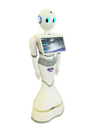 Body Shell Robot Kiosk Information System For Interactive Communication